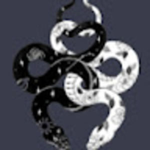 Meet your Posher, Lylanna